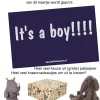 felicitatiekaartje It's a boy