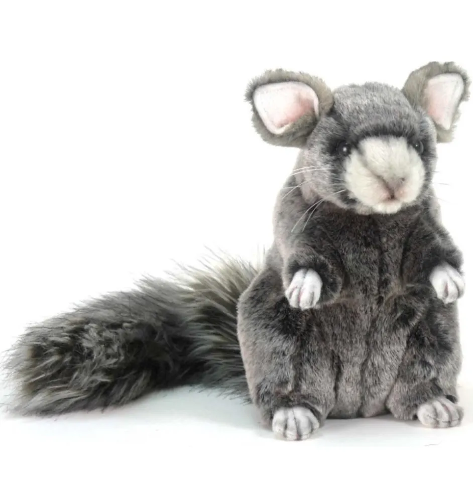 Hansa chinchilla