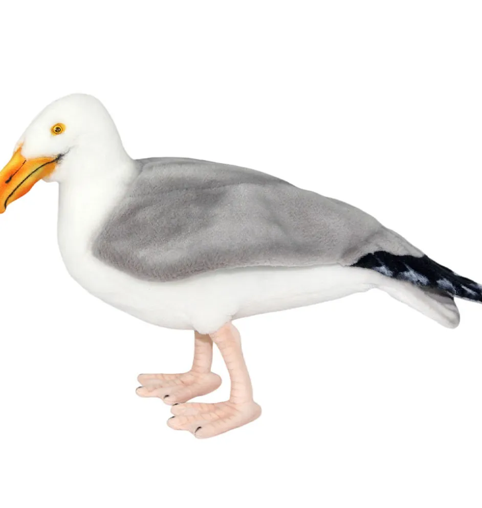Hansa Creation albatros