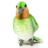 Hansa Creation kolibri