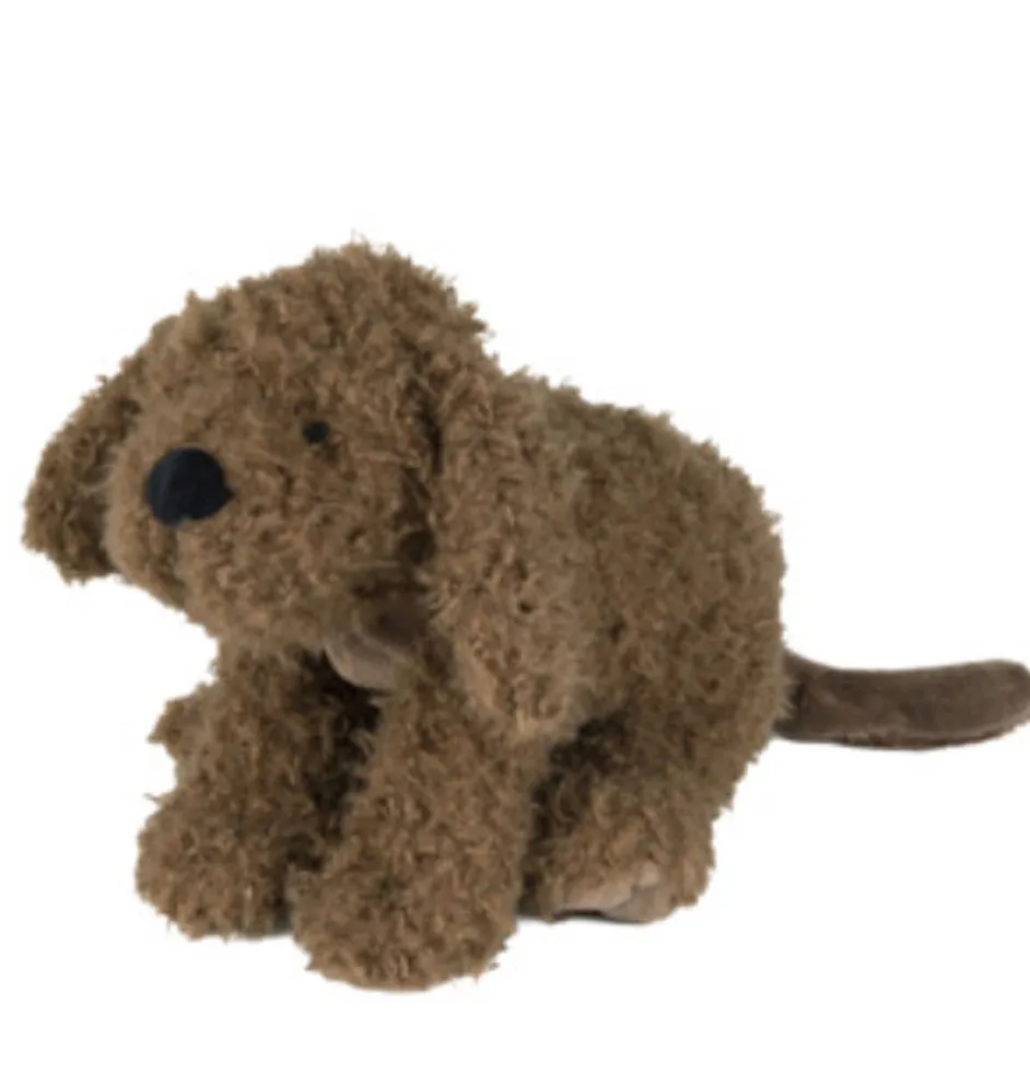 Happy Horse Labradoodle Larry