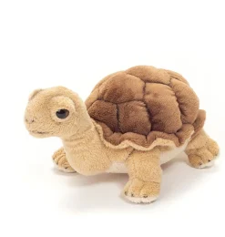 Hermann Teddy / schildpad