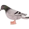 knuffelduif Hansa