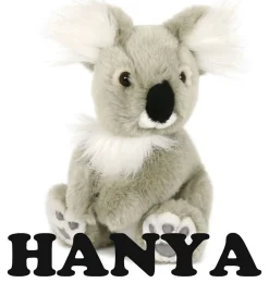 Minikane/Semo koalabeer Hanya